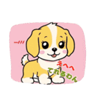 ゴールデンのこいぬ＊もふもふ日和（個別スタンプ：12）