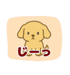 ゴールデンのこいぬ＊もふもふ日和（個別スタンプ：17）