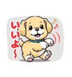 ゴールデンのこいぬ＊もふもふ日和（個別スタンプ：21）