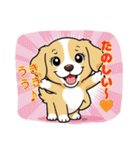 ゴールデンのこいぬ＊もふもふ日和（個別スタンプ：33）