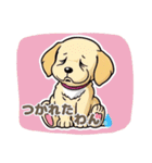 ゴールデンのこいぬ＊もふもふ日和（個別スタンプ：37）