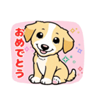 ゴールデンのこいぬ＊もふもふ日和（個別スタンプ：39）