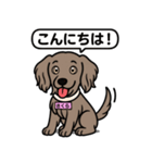 ワイマラナーの「さくら」（個別スタンプ：1）