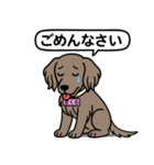 ワイマラナーの「さくら」（個別スタンプ：4）