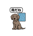 ワイマラナーの「さくら」（個別スタンプ：6）