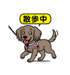 ワイマラナーの「さくら」（個別スタンプ：8）