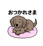 ワイマラナーの「さくら」（個別スタンプ：9）