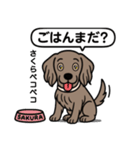 ワイマラナーの「さくら」（個別スタンプ：11）
