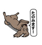 ワイマラナーの「さくら」（個別スタンプ：12）