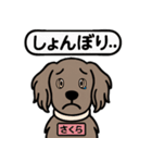 ワイマラナーの「さくら」（個別スタンプ：15）