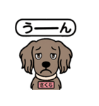 ワイマラナーの「さくら」（個別スタンプ：16）