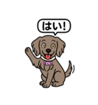 ワイマラナーの「さくら」（個別スタンプ：17）