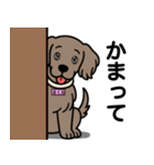 ワイマラナーの「さくら」（個別スタンプ：19）