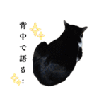 感情激しめスタンプ猫様（個別スタンプ：34）