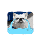 白いモフモフくん（個別スタンプ：10）