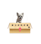 白いモフモフくん（個別スタンプ：14）