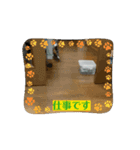 ほたて動くスタンプ（個別スタンプ：4）