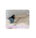 ほたて動くスタンプ（個別スタンプ：7）