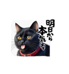 クロネコ猫（個別スタンプ：5）