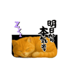 チャッピー＆そら（個別スタンプ：5）