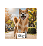 もふもふ柴犬の日常リアクション（個別スタンプ：3）