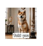 もふもふ柴犬の日常リアクション（個別スタンプ：8）