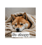 もふもふ柴犬の日常リアクション（個別スタンプ：9）