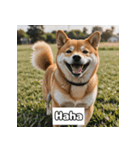 もふもふ柴犬の日常リアクション（個別スタンプ：11）