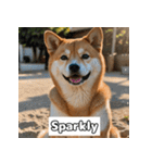 もふもふ柴犬の日常リアクション（個別スタンプ：13）
