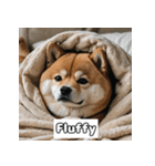 もふもふ柴犬の日常リアクション（個別スタンプ：14）