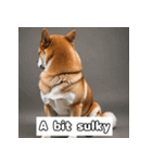 もふもふ柴犬の日常リアクション（個別スタンプ：18）