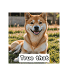 もふもふ柴犬の日常リアクション（個別スタンプ：20）
