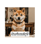 もふもふ柴犬の日常リアクション（個別スタンプ：21）