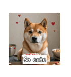 もふもふ柴犬の日常リアクション（個別スタンプ：22）