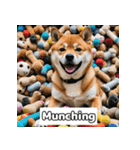 もふもふ柴犬の日常リアクション（個別スタンプ：23）