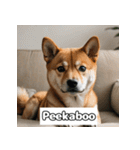 もふもふ柴犬の日常リアクション（個別スタンプ：27）