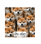 もふもふ柴犬の日常リアクション（個別スタンプ：28）