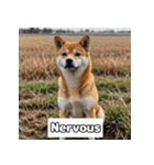もふもふ柴犬の日常リアクション（個別スタンプ：29）