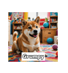 もふもふ柴犬の日常リアクション（個別スタンプ：30）