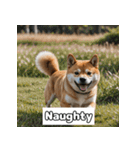 もふもふ柴犬の日常リアクション（個別スタンプ：32）
