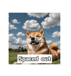 もふもふ柴犬の日常リアクション（個別スタンプ：33）