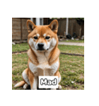 もふもふ柴犬の日常リアクション（個別スタンプ：36）