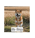 もふもふ柴犬の日常リアクション（個別スタンプ：40）