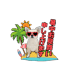 チワワのラズくん！（個別スタンプ：28）