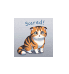 三毛猫の笑顔と涙（個別スタンプ：6）