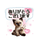 かわいいシャムねこのスタンプ（個別スタンプ：9）