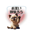 かわいいシャムねこのスタンプ（個別スタンプ：14）