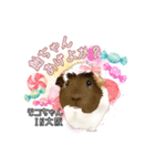 モルファꕤ︎︎·͜·ご当地モルモット（個別スタンプ：26）
