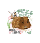 モルファꕤ︎︎·͜·ご当地モルモット（個別スタンプ：38）