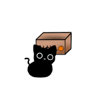 【動く】(◉-◉)きょむねこノアスタンプ（個別スタンプ：21）